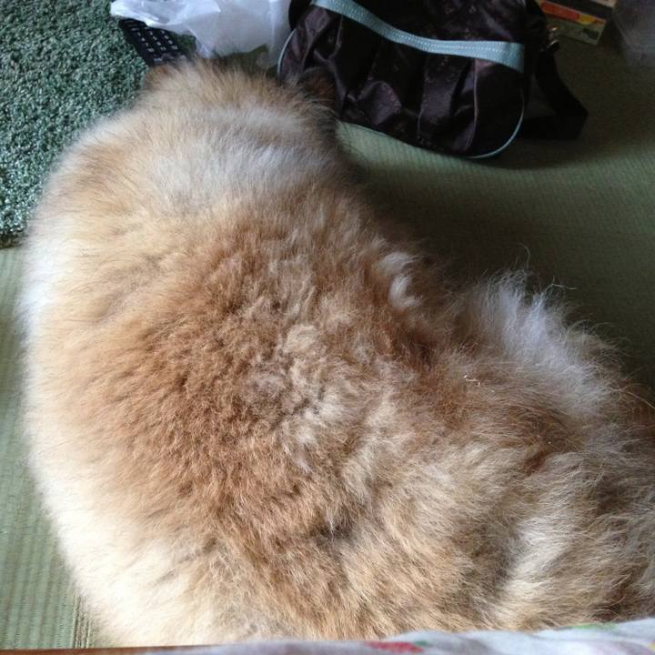 1028d888 003d 4b96 8931 9900a741df7f 1587690906604