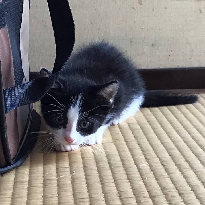 1028ec32 0e83 47fc 8efc d27aab699f24 1623900425412