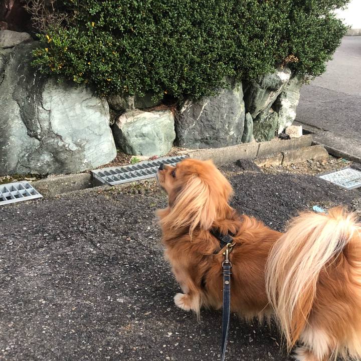 102907e6 4e1c 447e a0d1 9396245495db 1542231079409