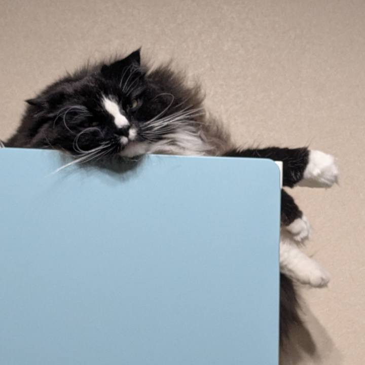 102923e4 0407 4d08 b153 bf9ad5447447 1737033643805