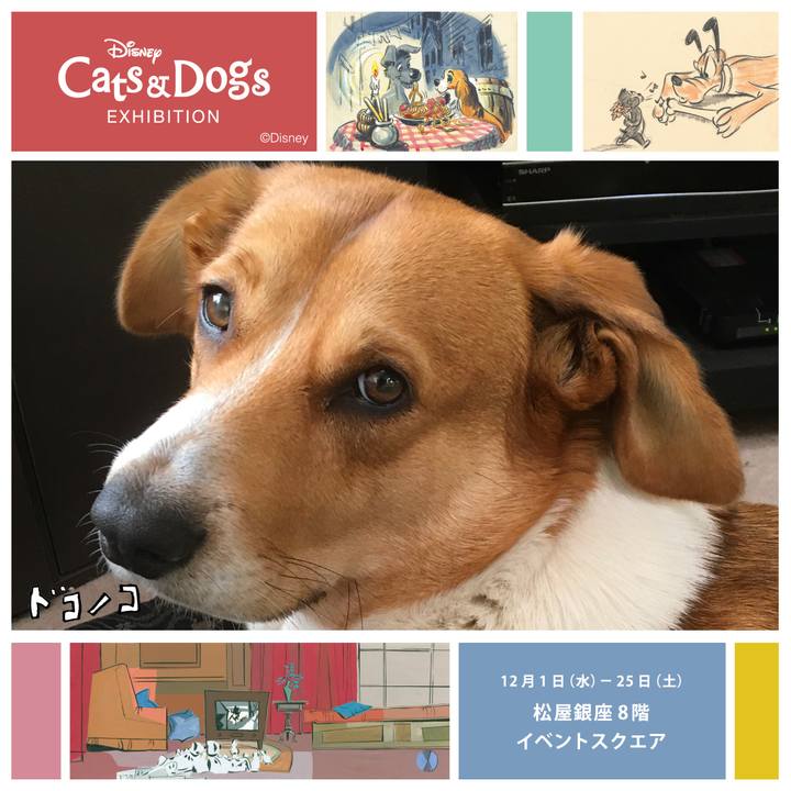 102937dd 9941 4e8e 95e3 abc2d73e6470 1638340860198