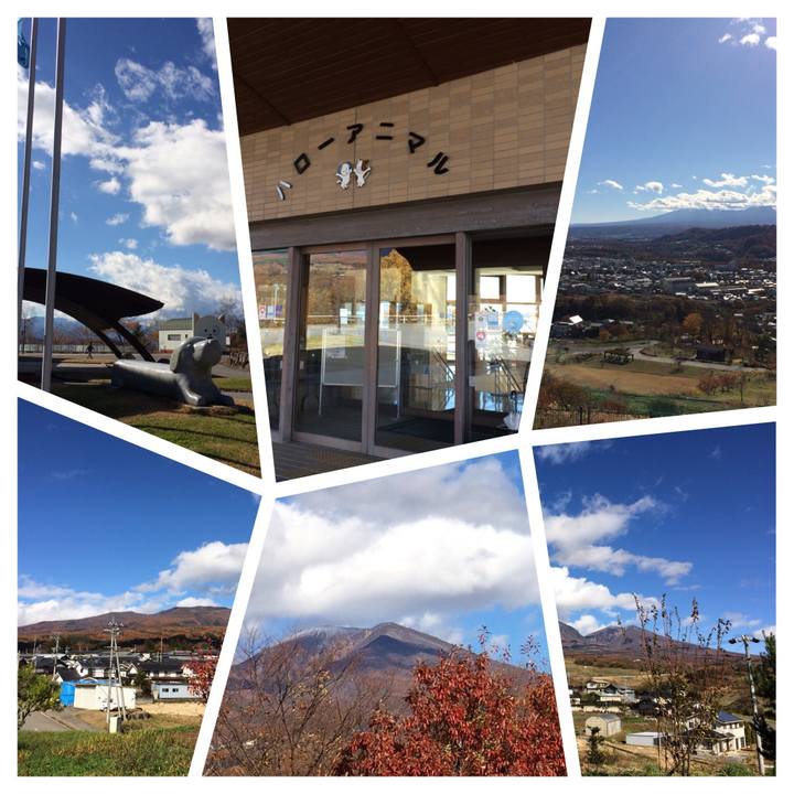 10295c65 4fda 40f6 9a00 58d0462b3775 1510374278901