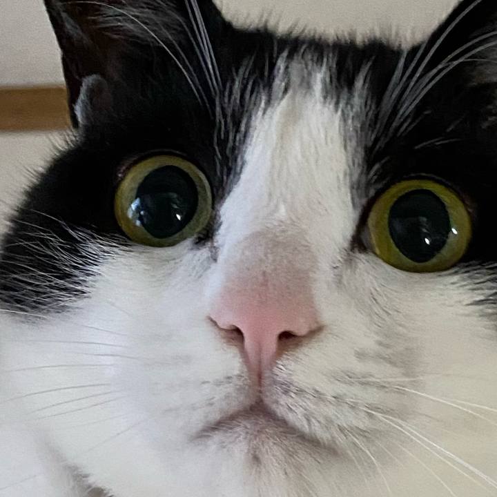 10297996 8c45 4412 8821 ea9dd6f9886e 1636770942070