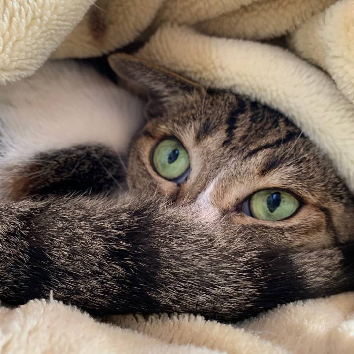 10298a8a 916c 43ac 9f37 263eb1c4a1e5 1583458012111