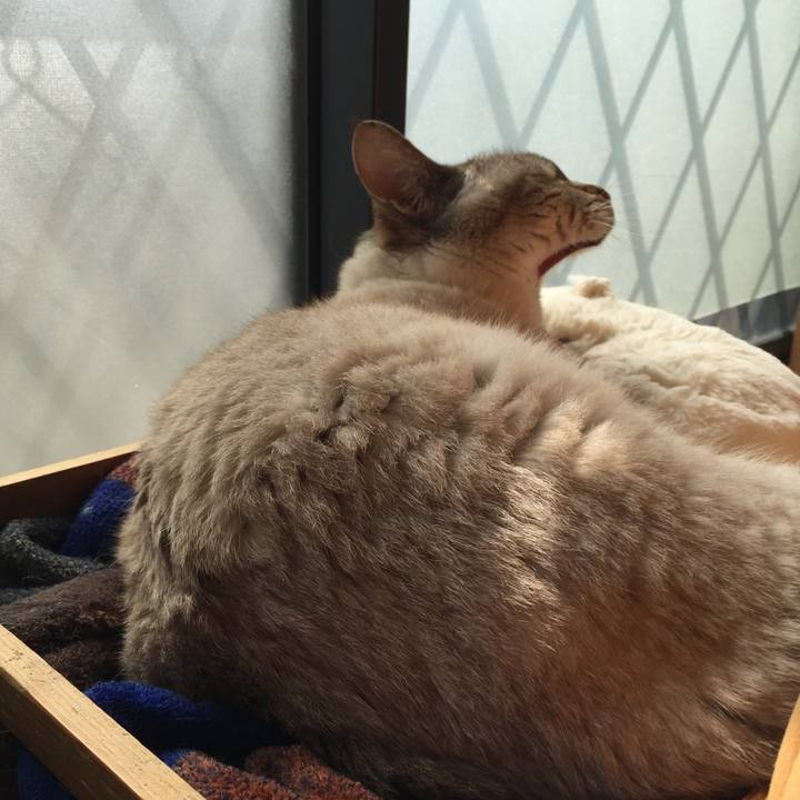 1029ca50 c518 4c55 ac99 234af68f4b42 1551155418915