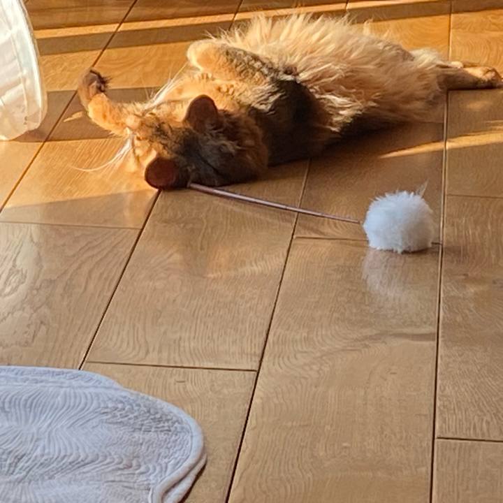 1029d566 2ba4 465d 8bb7 f8daafcd34cb 1642474059436