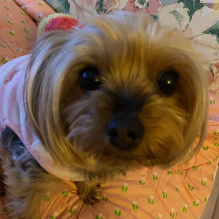 1029d9e6 74f2 49e1 9637 dc94ab35b0ec 1615982224628