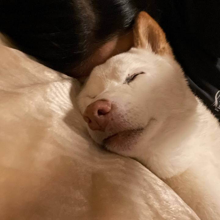 1029fc97 0b79 4d86 9506 d905fbb42a1d 1634915821413