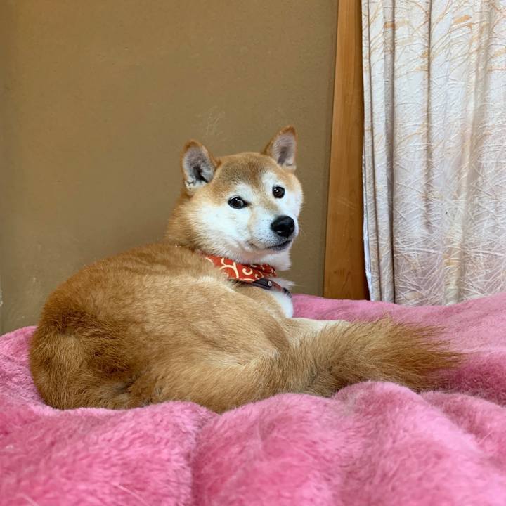 102a1276 eab5 4cea 8293 e1aad0230711 1574247308975