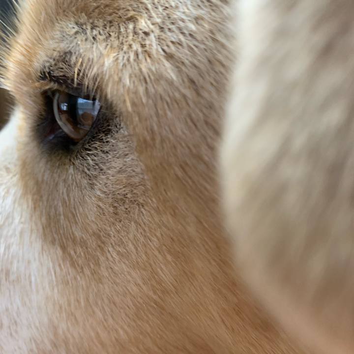 102a2109 5212 4c5b 99fa 8d27920c1789 1551597734136