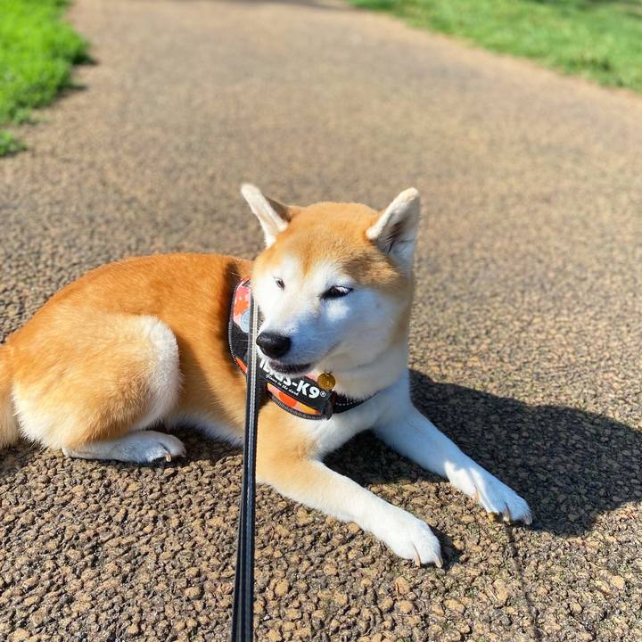 102a8dd4 1ce0 4882 951b bef486a12a08 1629769152914