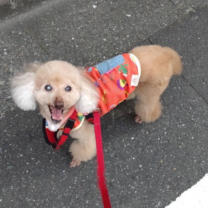 102a929d ff63 4771 966c d40219cc286f 1689601343787