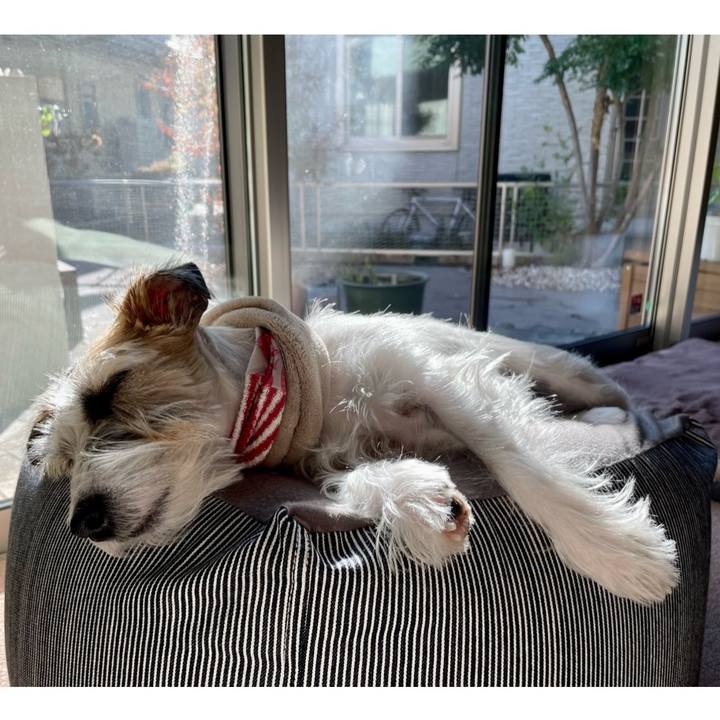 102b4b2b 131c 4933 a25a 0f1a334c0a00 1668574281491