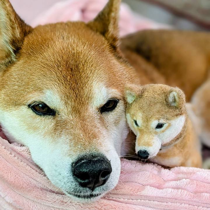 102b9436 32f7 433c 8c88 1a9f4bb41cfc 1745999464147