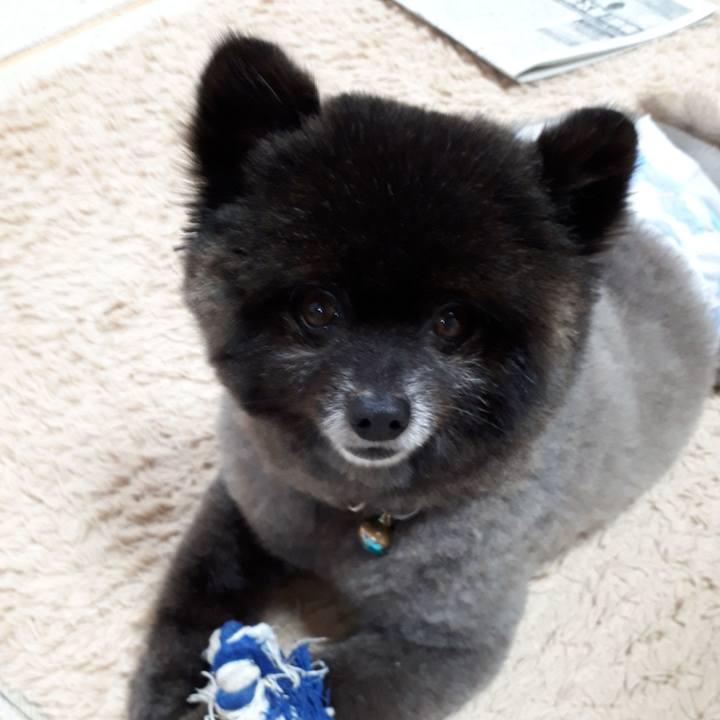 102ba774 dcdd 4302 80c3 ea1b15317cc1 1548624336367