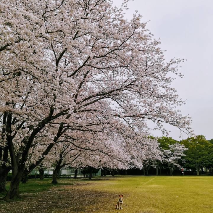 102bd342 7f60 48e6 af4d c2b506ffd810 1617085764889