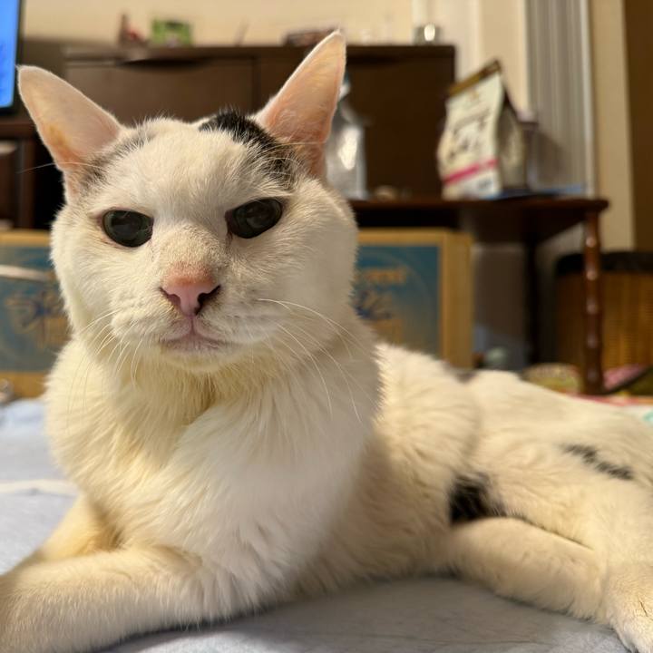 102be130 5e3b 4b9e a443 12b2453f8abe 1763555209526