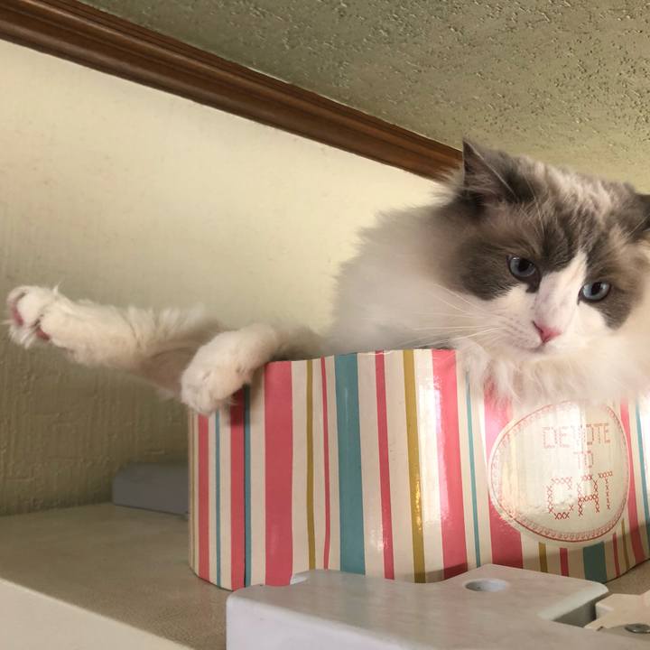 102be3f2 df9a 4634 ab21 ddb1f479c4b7 1580620328708