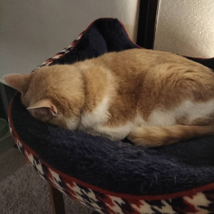 102bf62f 45c7 437f 9f64 6bea2bed59b1 1652534781604