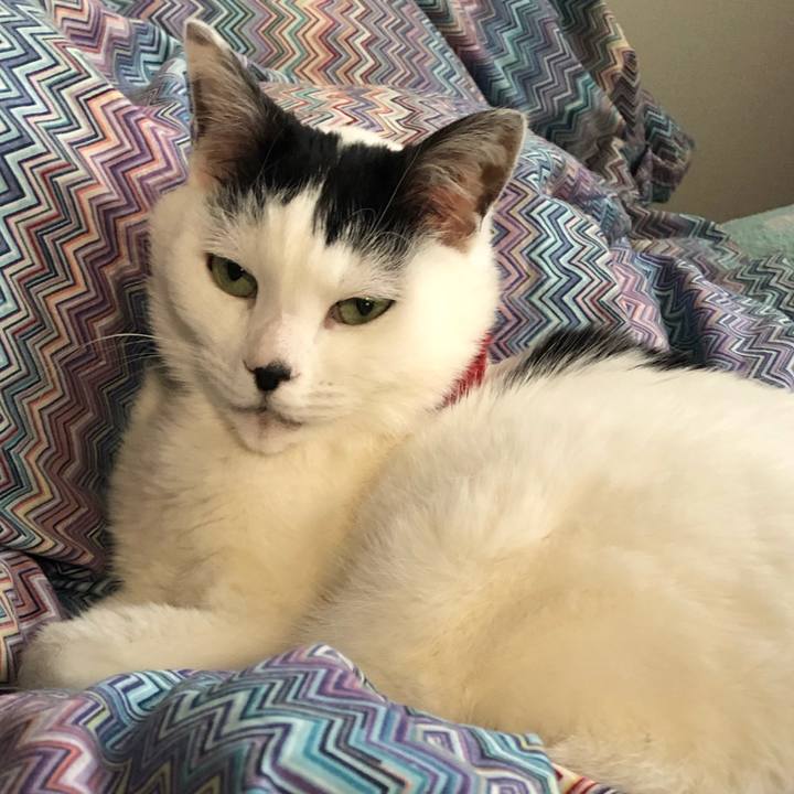 102c05d5 6879 4246 a1f9 671dd7a085e3 1549409920259