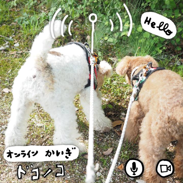 102c186a a99f 4f68 8c3d 8622e1836812 1590849145460