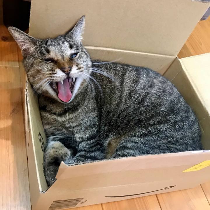 102c2082 341a 4308 b910 528f26eb9975 1626926057058