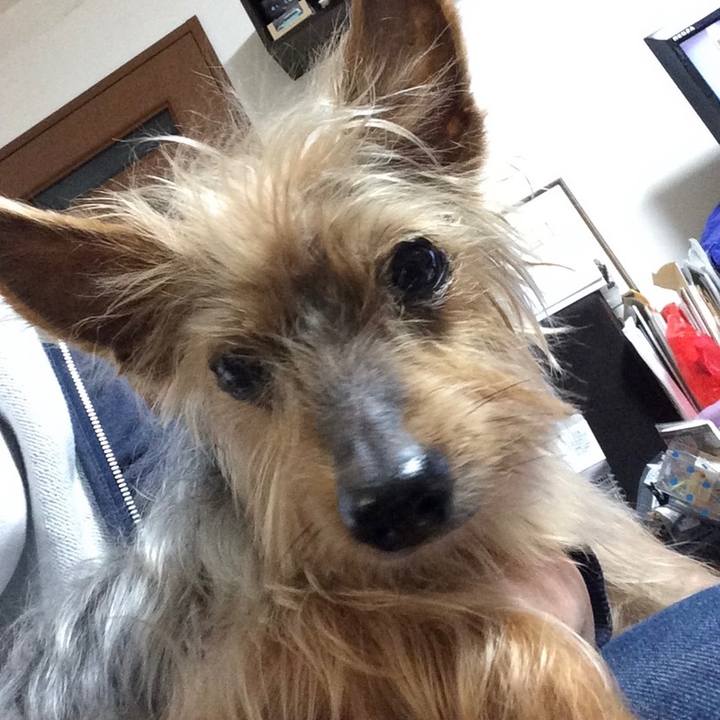 102cc994 5358 4e38 a17e 0b945820deb9 1694348623491