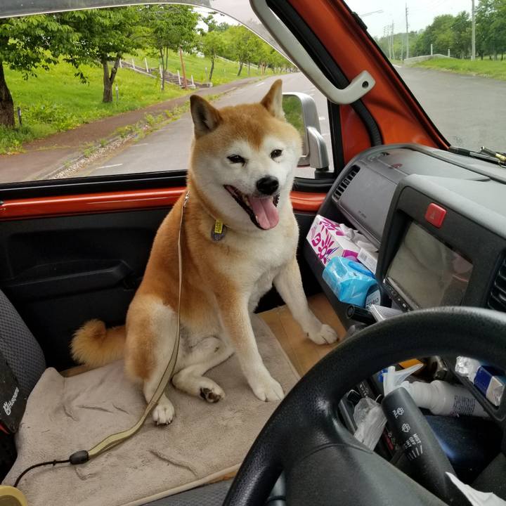 102ccfbf 560f 442c ac88 6fba6090cd8e 1652424106927