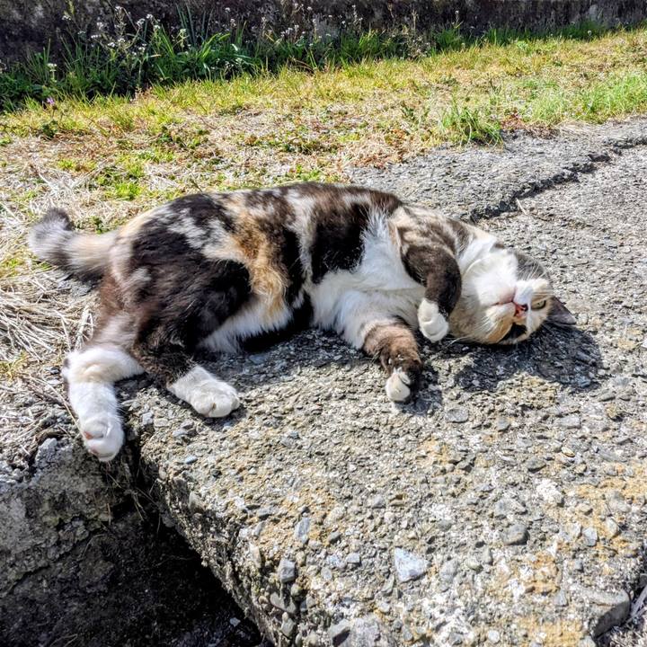 102cd765 0e15 46c3 887a 06b11e45efcd 1771857059292