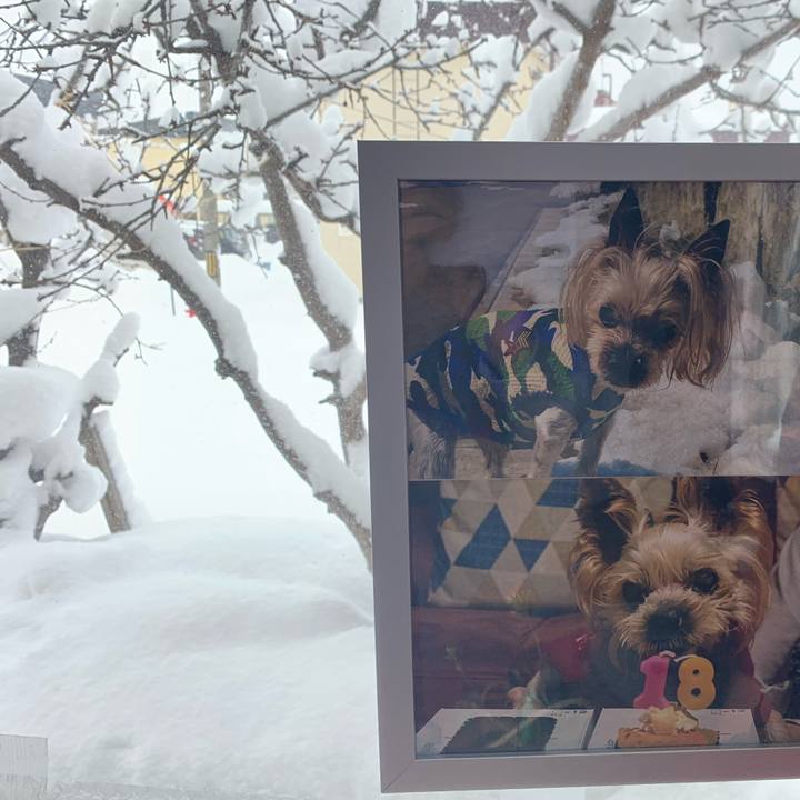 102ce5f9 a7a4 49dc 9926 121fa86ff870 1734081604223