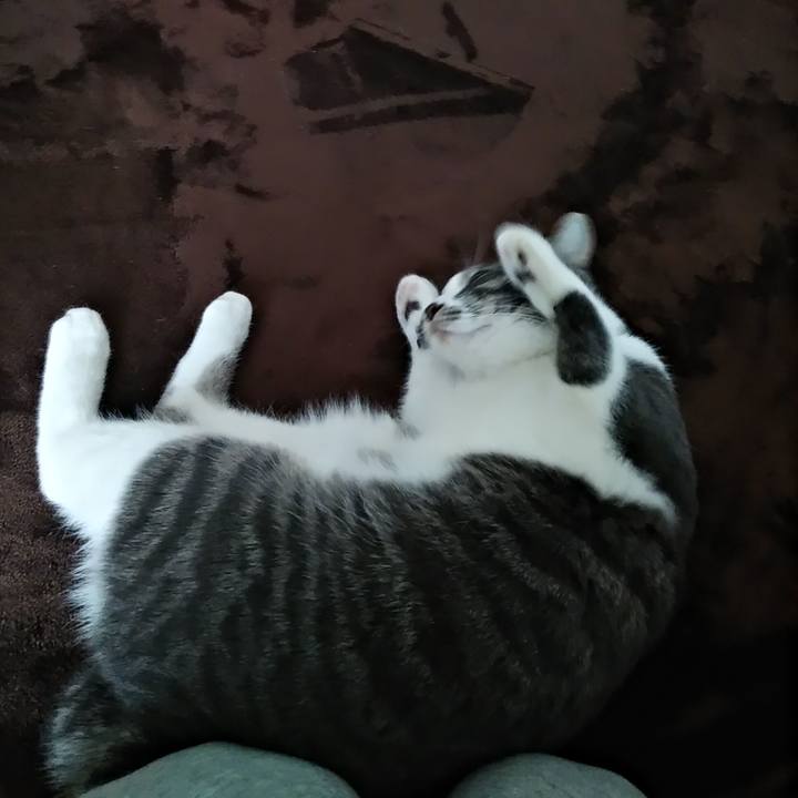 102ceaef 3f3f 45b6 b2d8 8a121023cd9d 1580251779724