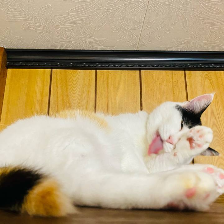 102cee52 41d6 45b6 90e5 1a20b8c33faf 1656454385667