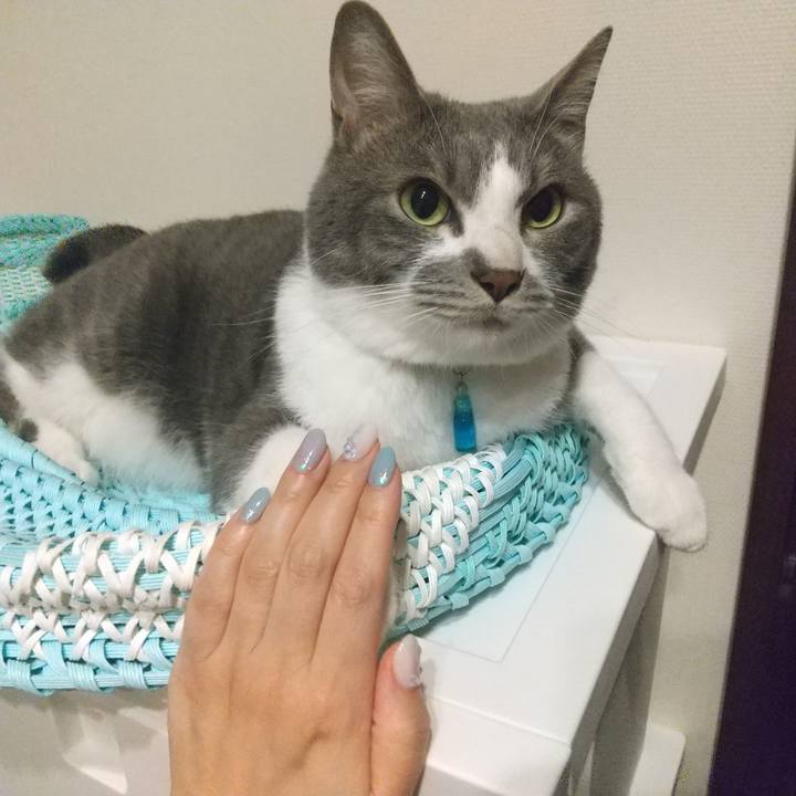 102d56fd 1d7e 46bc 988b d6e9d16be840 1652497935020