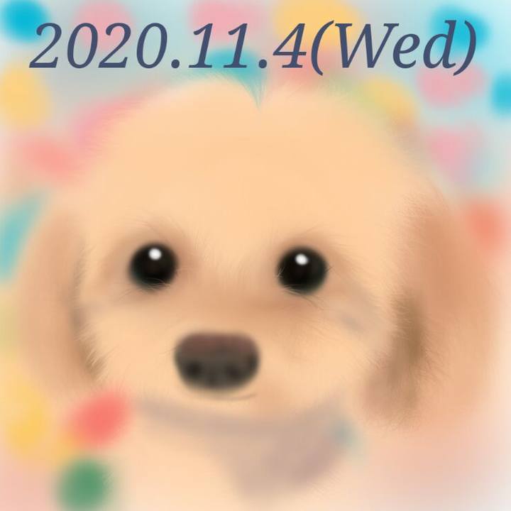 102d6cca 2bcb 4eac 9236 39a291e99375 1604490389875