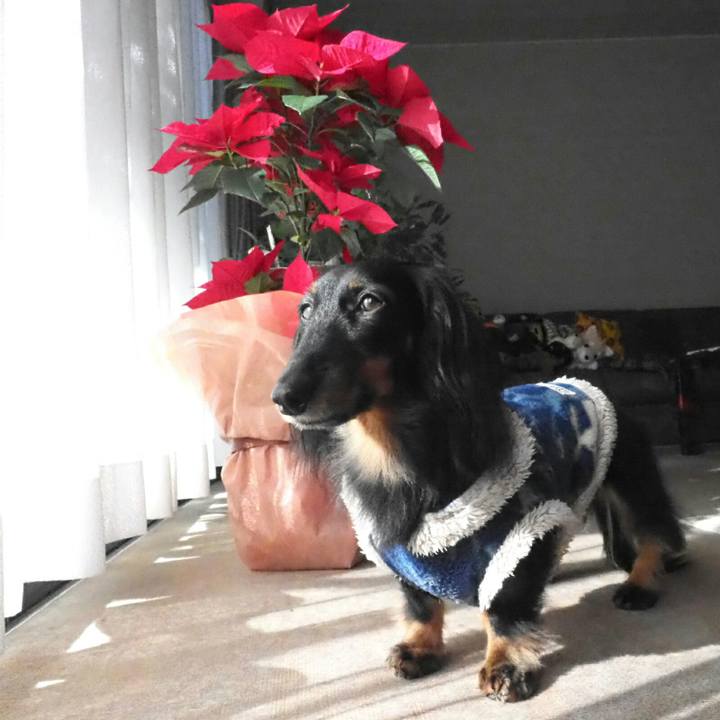 102de665 2a46 492f 9755 aa0bda4d8af6 1545878373429