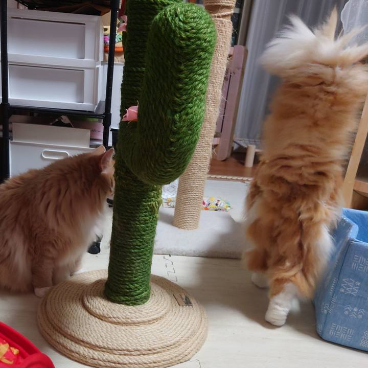 102e02a8 3c46 44ad 8122 15204b617eb2 1686579927721