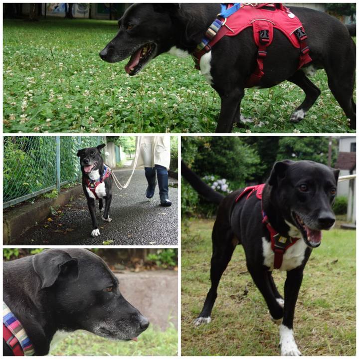 102e095d 382c 4dab be88 b7ddd370bebe 1655252571625