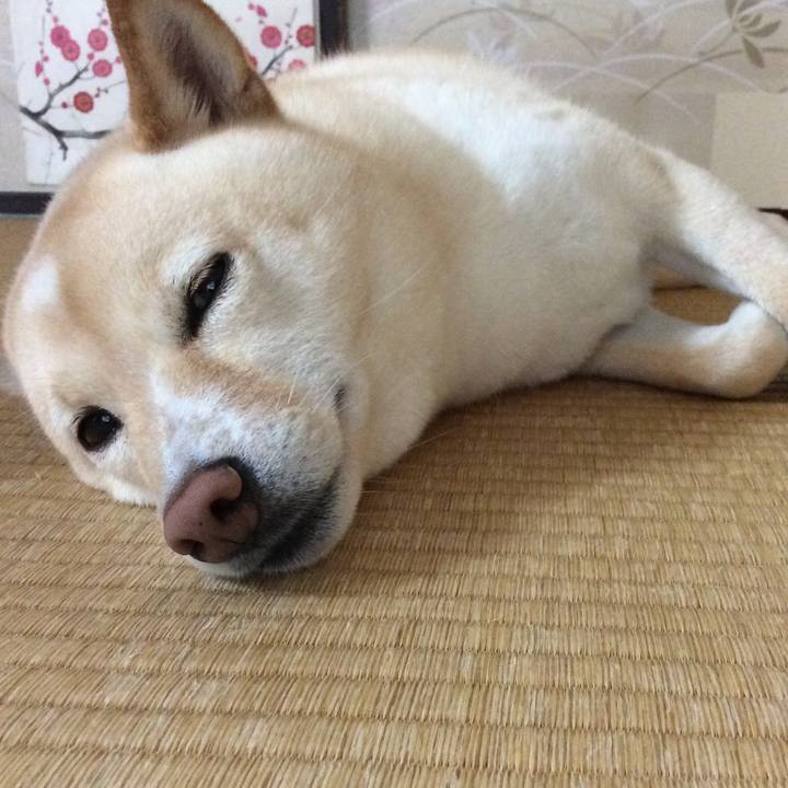 102e0a5c 36a9 4479 8342 2e63ffe7319d 1592616067340