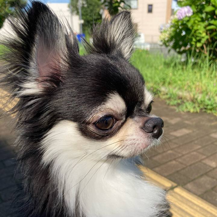 102e11fd 6a68 464a b4e1 1727407fa65e 1625892046641