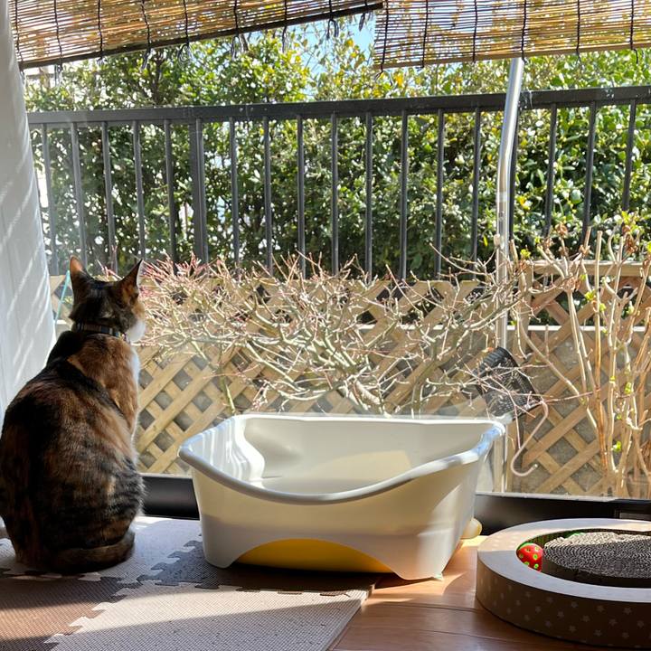 102e2b5d a056 4fac 9dce 1c4ff70e9b26 1679360495580