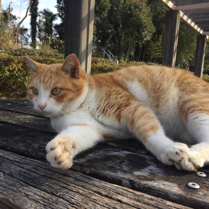 102e31da 249d 4e24 b05d 4a0ad2c74dc6 1516529016644