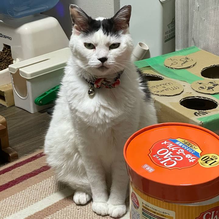 102e47a0 47a3 40ed 8e69 e5bdc86207fa 1718199074007