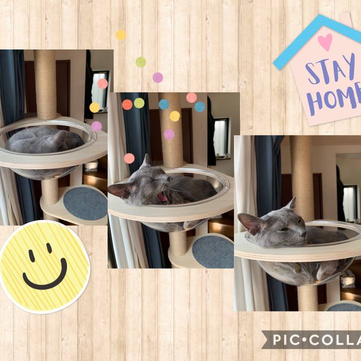 102eb2af 0ef4 4d13 9e92 f5fc8163add6 1596492221207