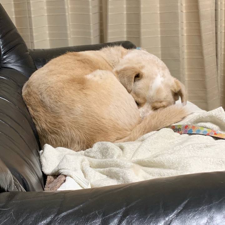 102ecbb4 c374 4ad0 8571 dbf91f9d81b9 1554911494230