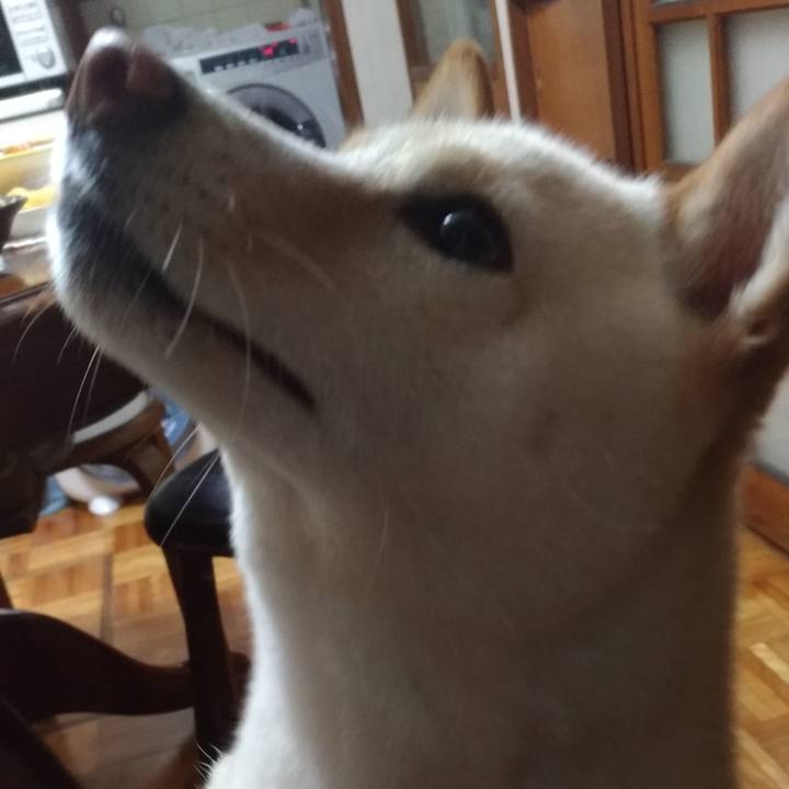 102ecefd 53f1 4654 9306 c2d4ba2a44d7 1563313463285