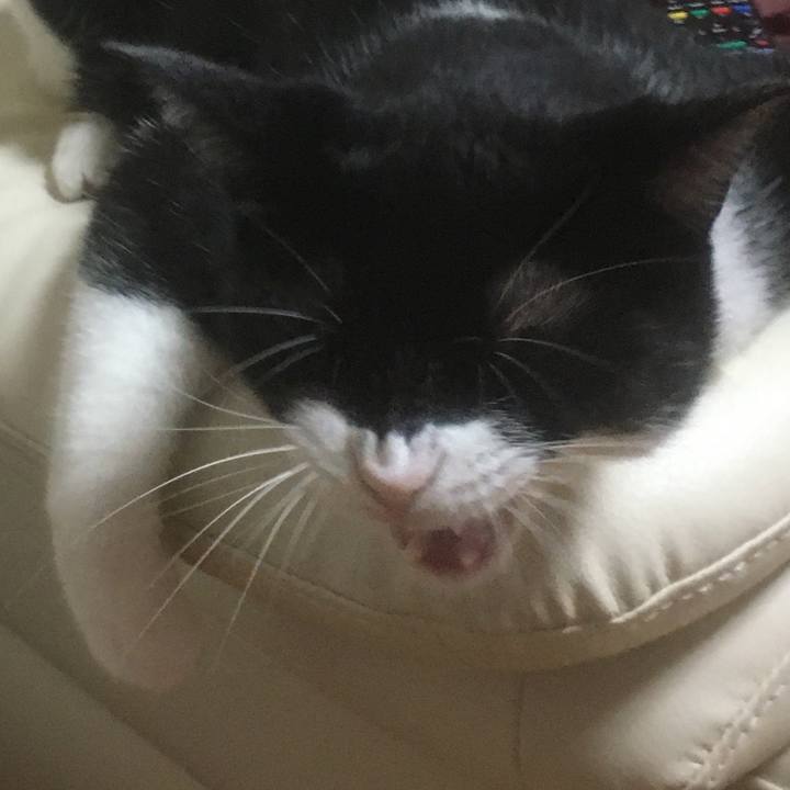 102ee486 5301 44a3 b8a4 dad70228a86f 1597485298157