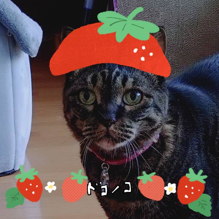 102eee5a 0e48 4d8d a1fe a8ae4bc48130 1775193046254