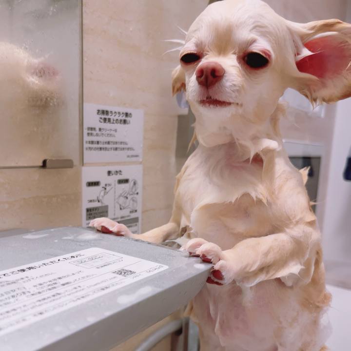 102f203e 055e 427d a0a5 7f48ff07e4b2 1693918188071