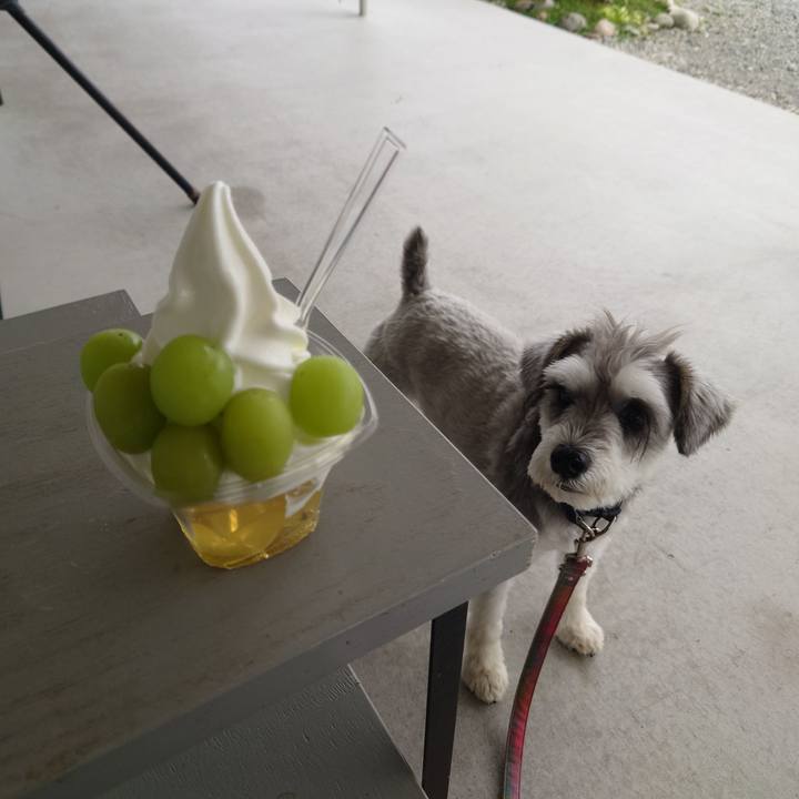 102f385f 4757 4a2f b812 2cc13e96b64c 1758517269717