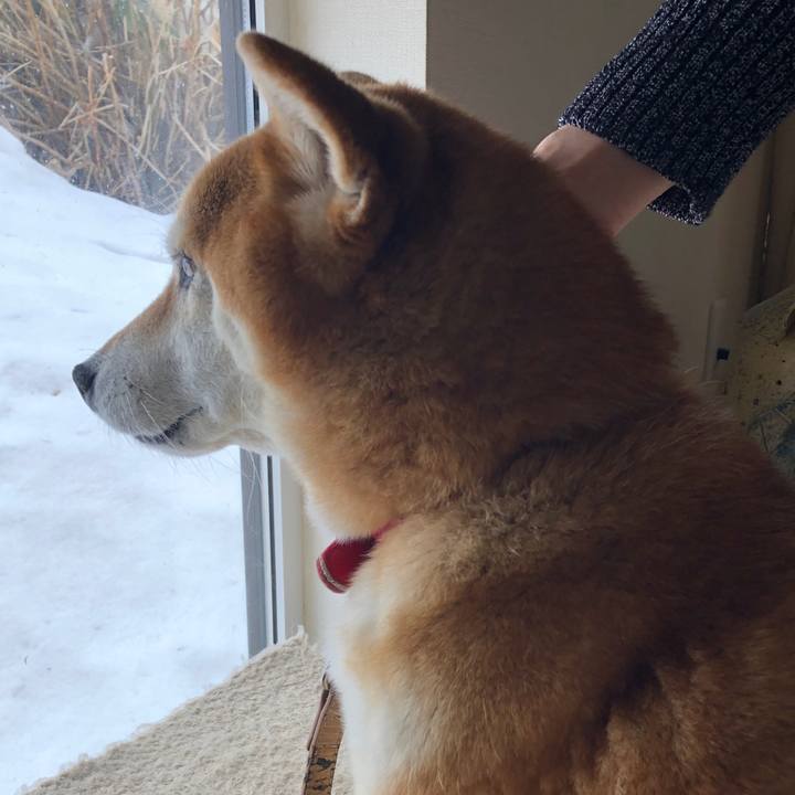 102f9c96 5a02 42d7 85c2 429afd9217e4 1742016957035